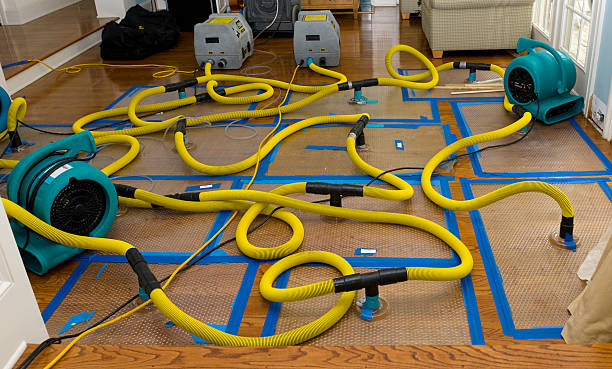 Professional Storm Water Damage Restoration technician working in Coppell, TX